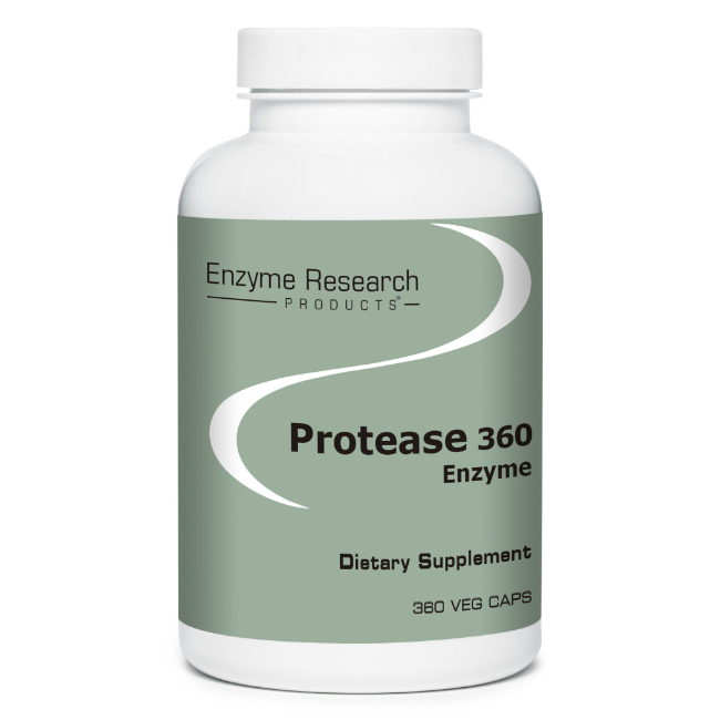 Protease 360 Enzymes