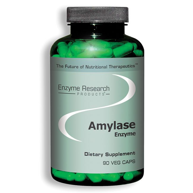 Amylase Enzyme Enzyme Research Products Retail English Site